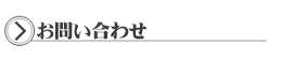 䤤礻